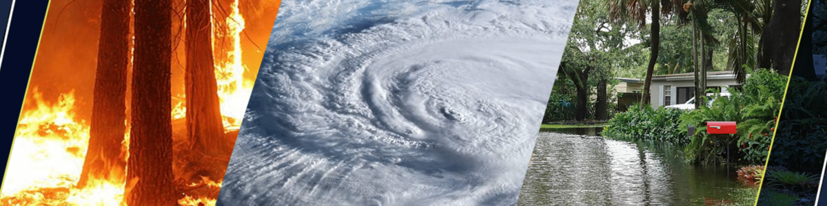 Catastrophic Event Response